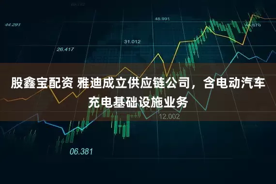 股鑫宝配资 雅迪成立供应链公司，含电动汽车充电基础设施业务